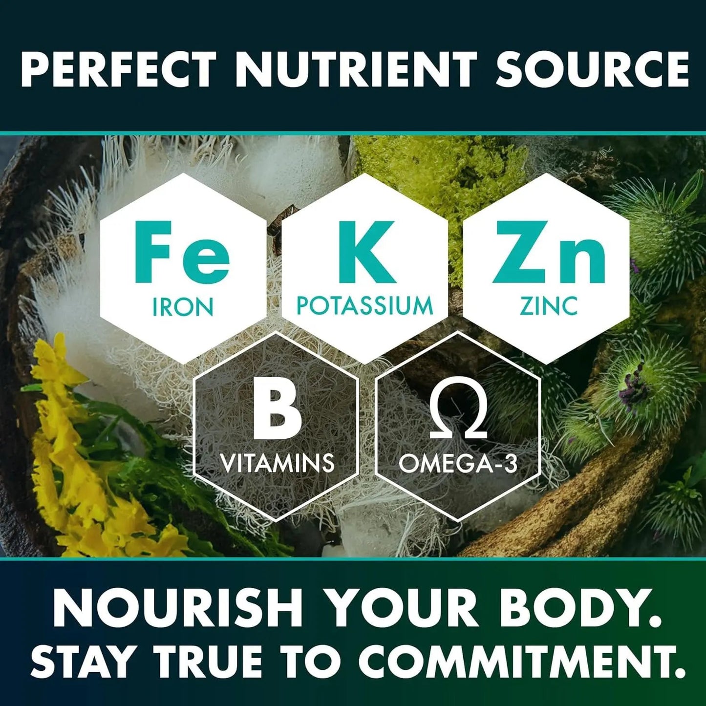 Sea moss Vitamin Capsules - Health Is Wealth