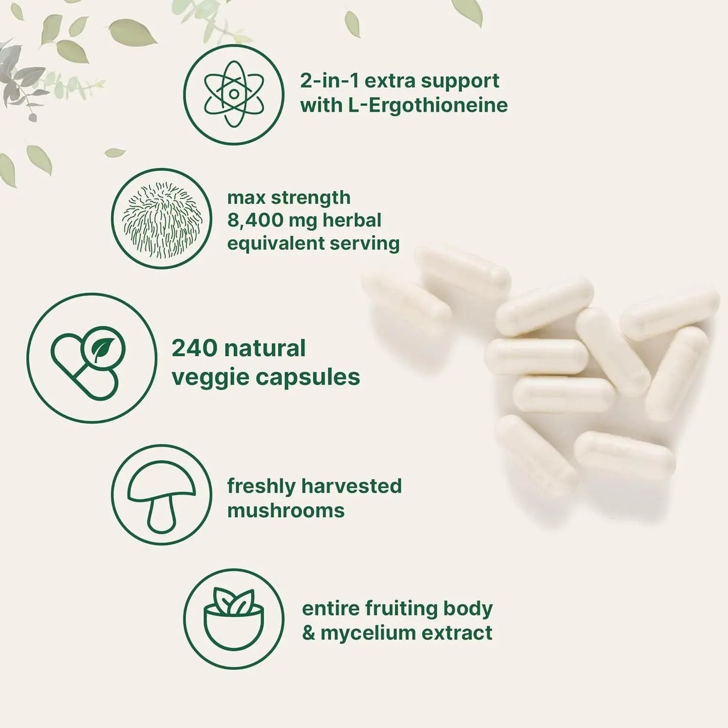 Lion Mane Capsule Refined Sulfur Phosphorus - Health Is Wealth